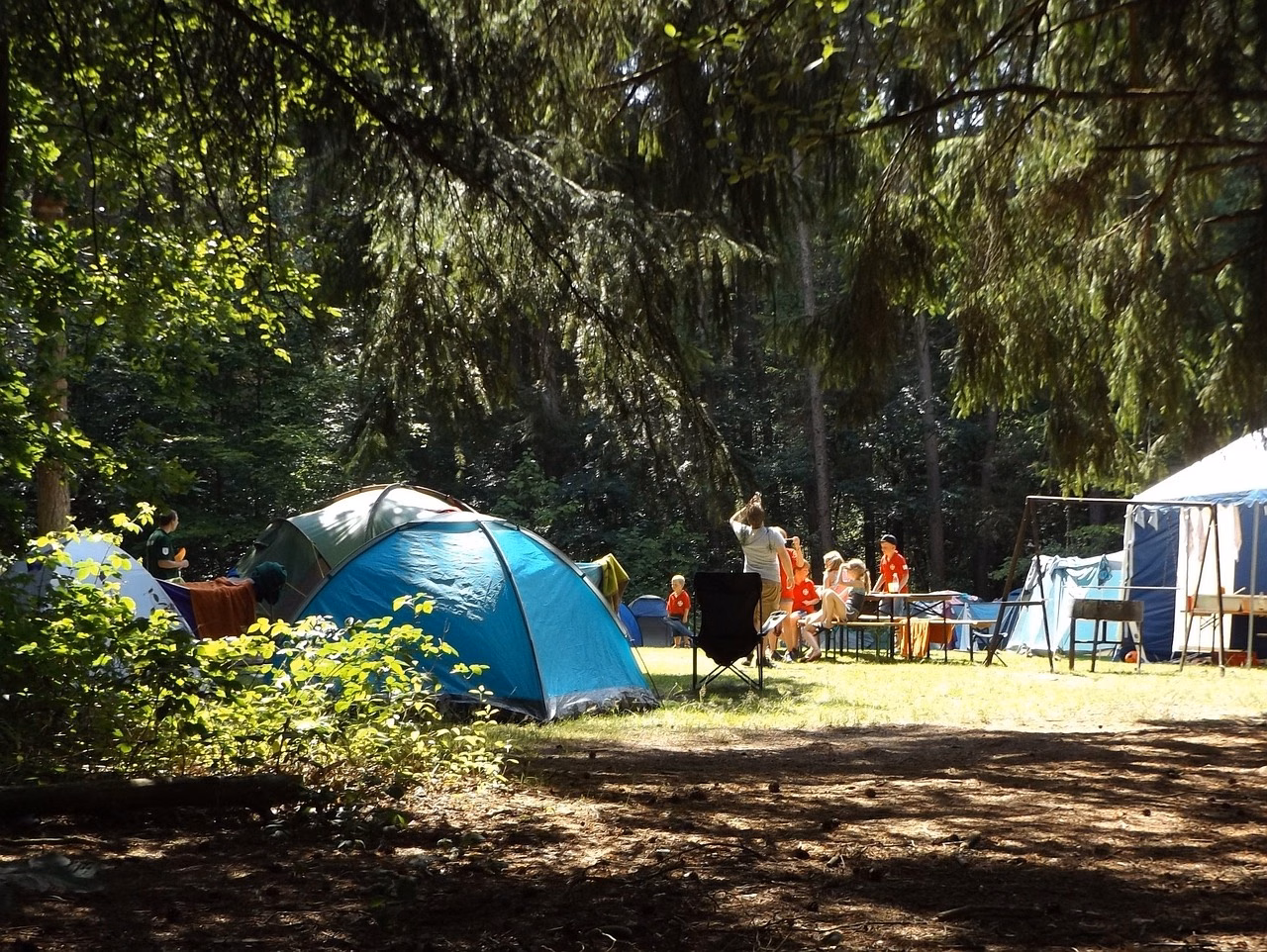 Camping im Wald mit Gruppe in der Natur