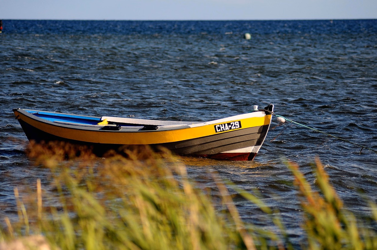 Küste mit Kiefern bei Międzywodzie an der Ostsee