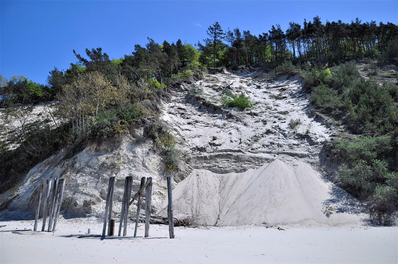 Küste mit Kiefern – Misdroy Strand Natur Ostsee Polen